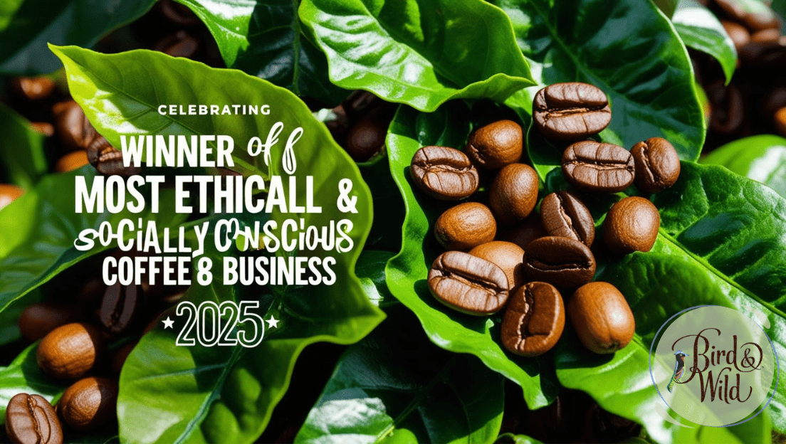 Bird & Wild Awarded Most Ethical & Socially Conscious Coffee Business 2025 - Bird & Wild Coffee