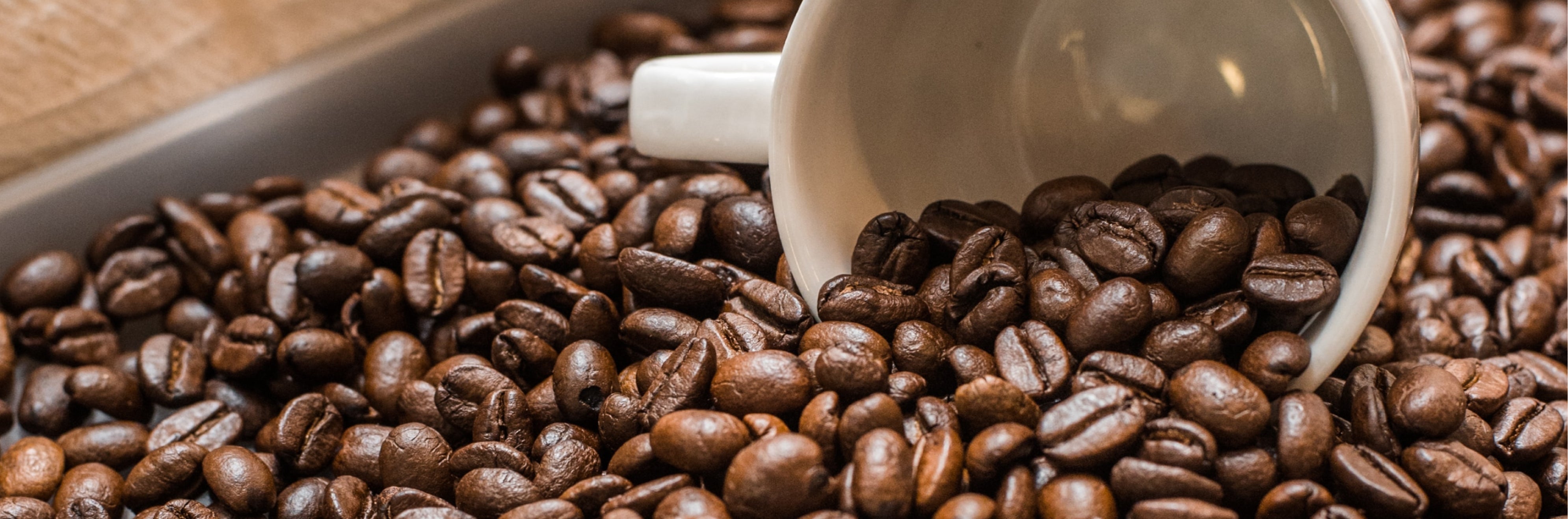 Bird & Wild Coffee @ Natural Organic Europe Trade Show, 22-23 April 2018, London Excel - Bird & Wild Coffee