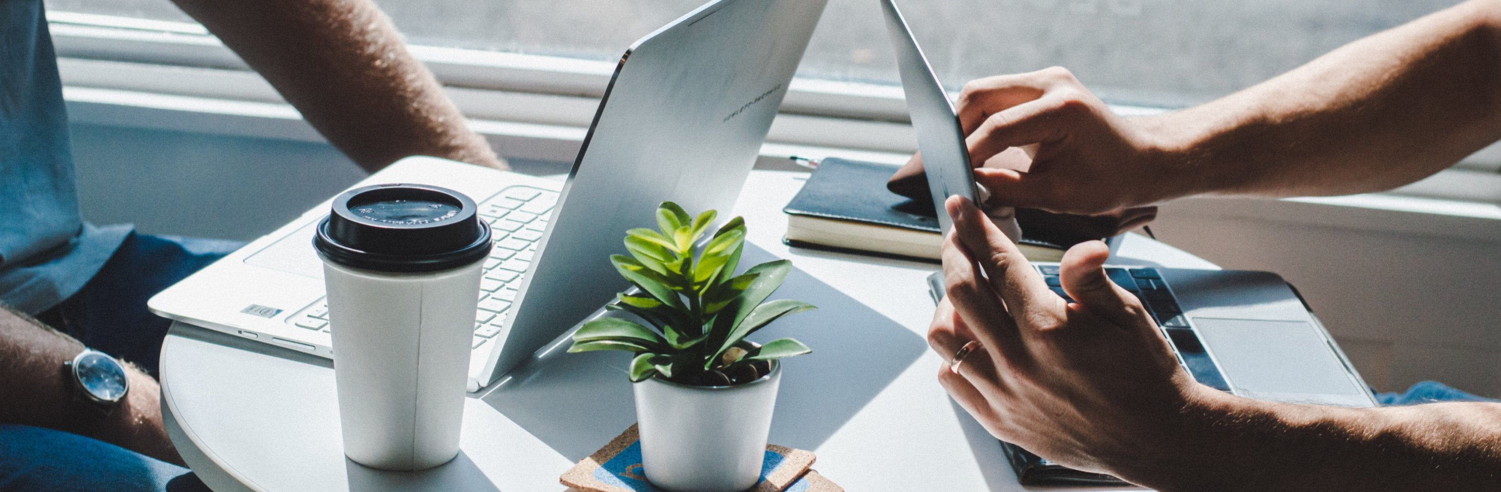 Q & A: Bird and Wild — Bird Friendly Coffee - Bird & Wild Coffee