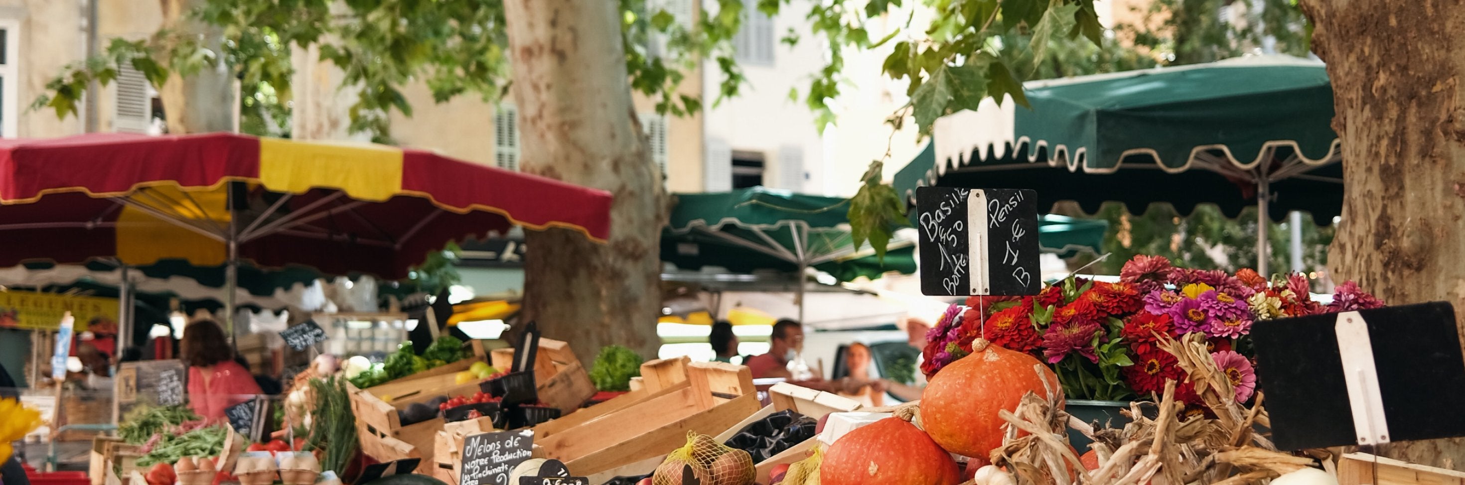 Show Report: Bird & Wild at the Go Organic Festival, Battersea Park, 8-9 September 2018 - Bird & Wild Coffee