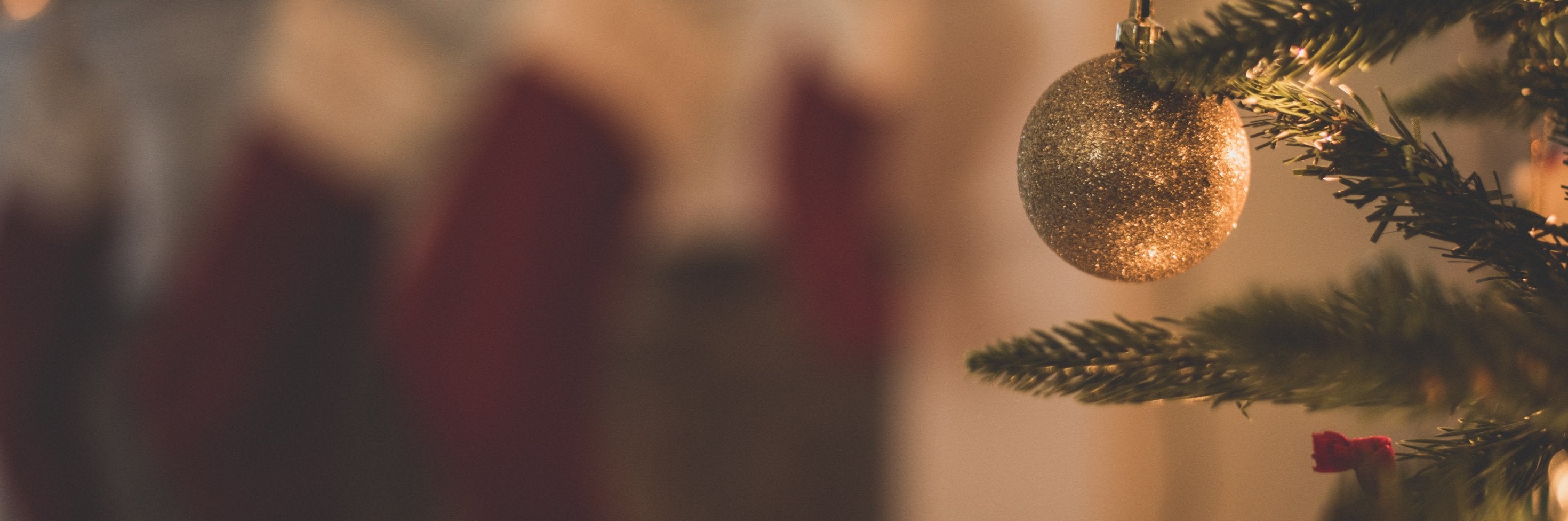 The winners of the RSPB Christmas Jumper Competition 2018 - Bird & Wild Coffee