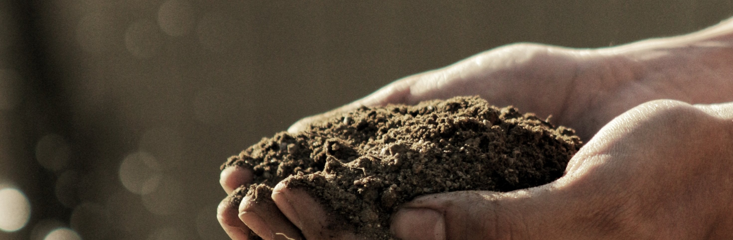 We are on the Soil Association's Stocking Fillers List - Bird & Wild Coffee