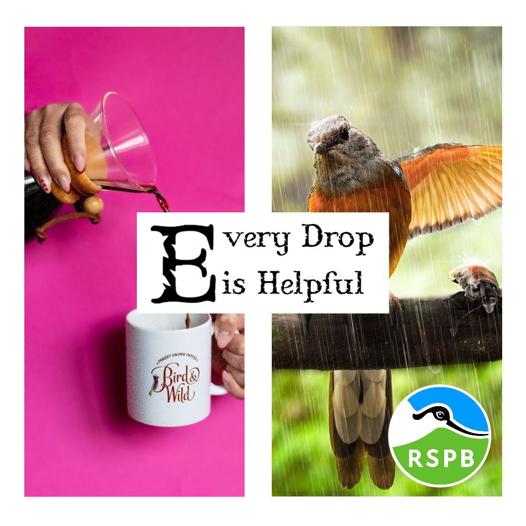 Dark Roast Fairtrade Organic Bird Friendly RSPB Coffee - Bird & Wild Coffee