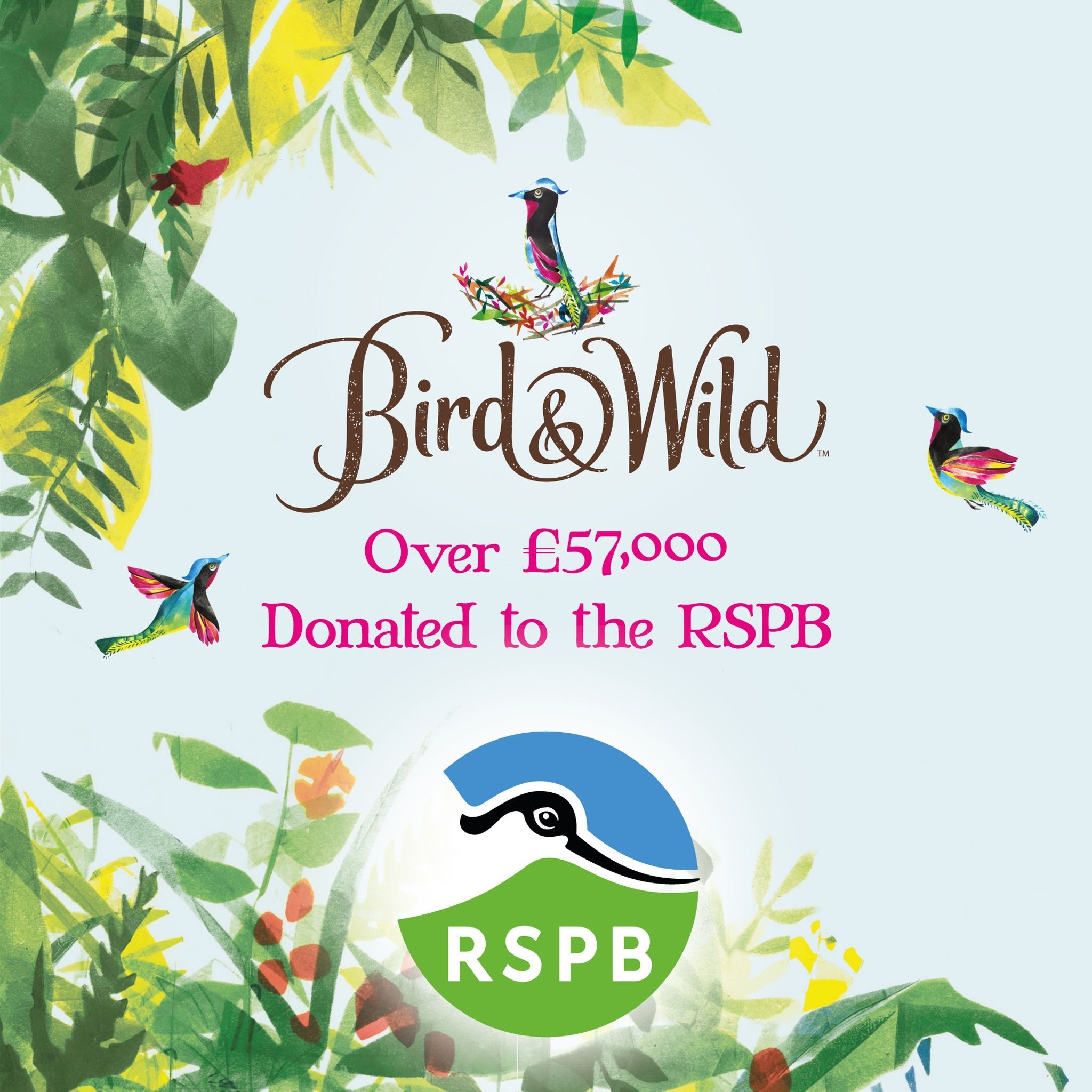 Dark Roast Fairtrade Organic Bird Friendly RSPB Coffee - Bird & Wild Coffee