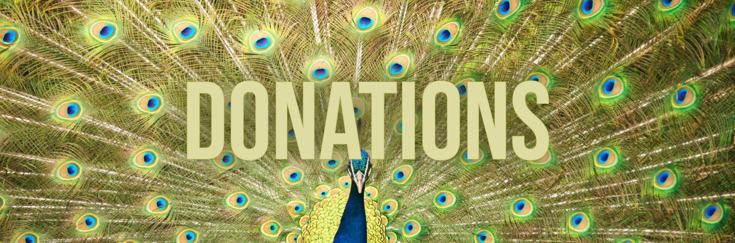 Bird & Wild Coffee donates over £18,000 to the RSPB Charity - Bird & Wild Coffee