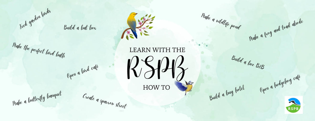 Join the RSPB