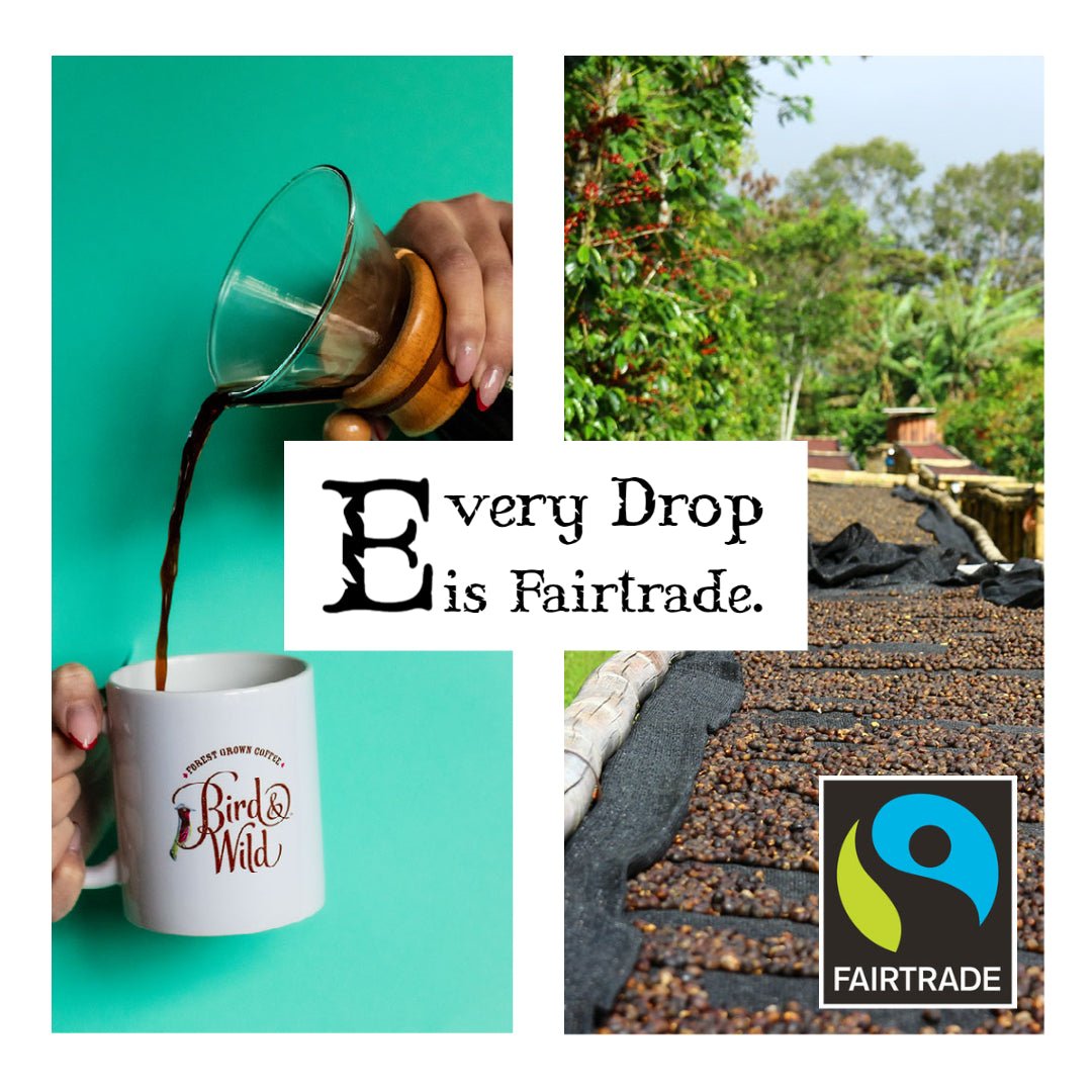 Dark Roast, 200g, Fairtrade Organic Shade Grown Coffee - Bird & Wild Coffee